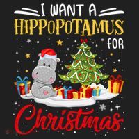 I Want A Hippopotamus For Christmas Xmas Hippo Christmas Gift Beanie thumb 2