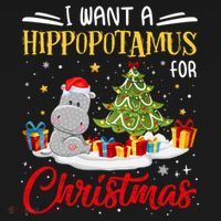 I Want A Hippopotamus For Christmas Xmas Hippo Christmas Gift Women's Hoodie thumb 2