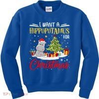 I Want A Hippopotamus For Christmas Xmas Hippo Christmas Gift Kids Sweatshirt thumb 0