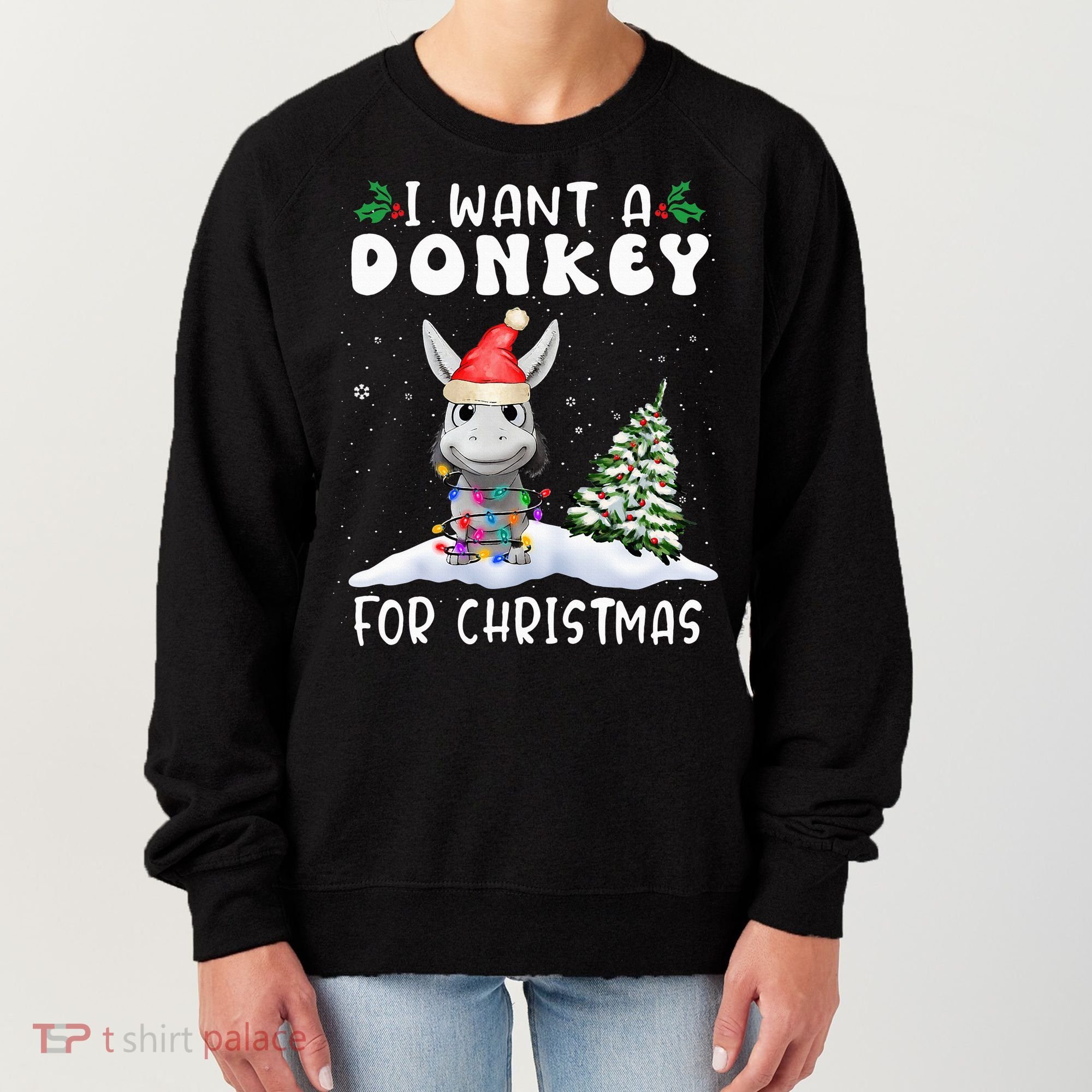 I Want A Donkey For Christmas Santa Hat  Women's Sweatshirt
