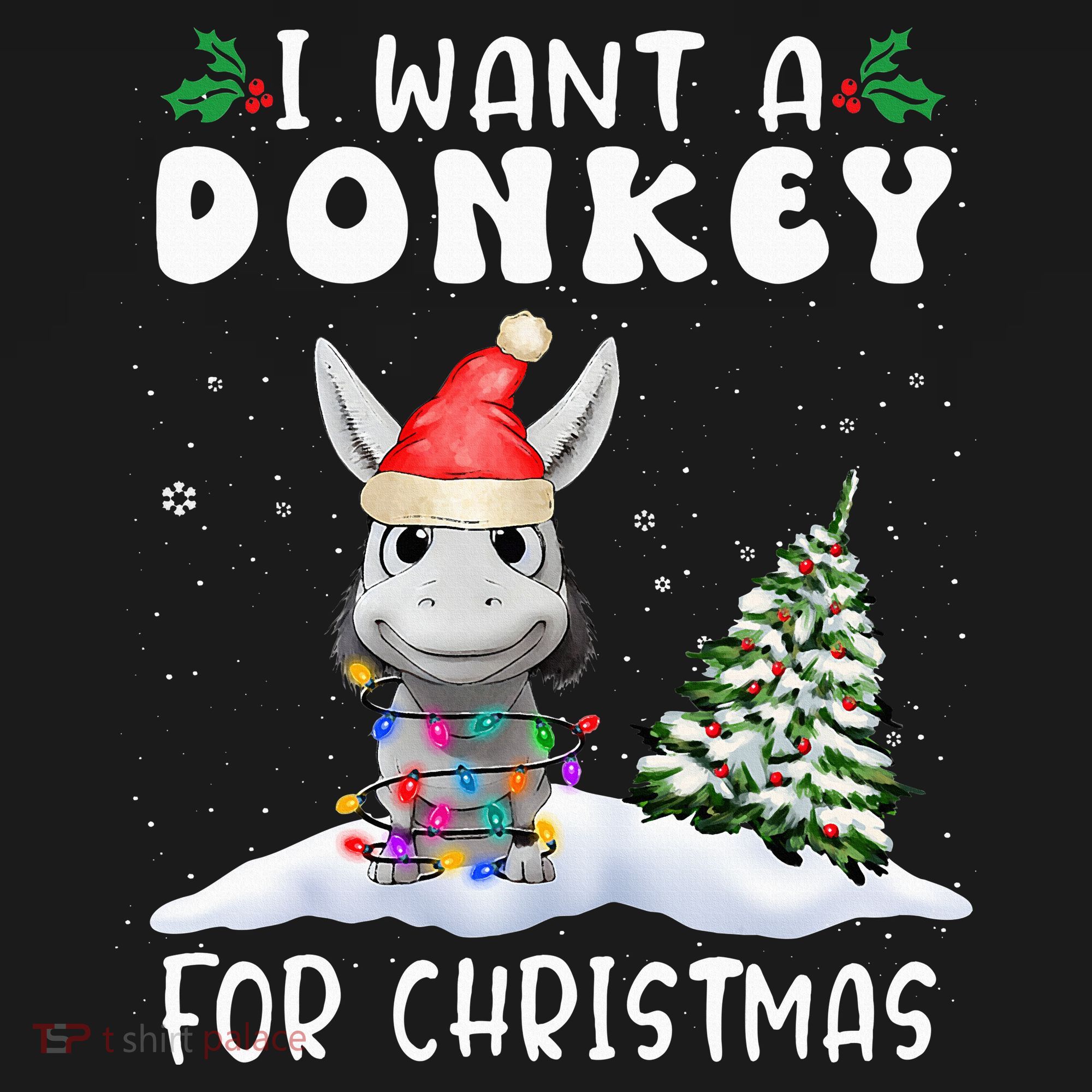 I Want A Donkey For Christmas Santa Hat  Women's Hoodie