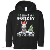 I Want A Donkey For Christmas Santa Hat  Toddler Hoodie thumb 0