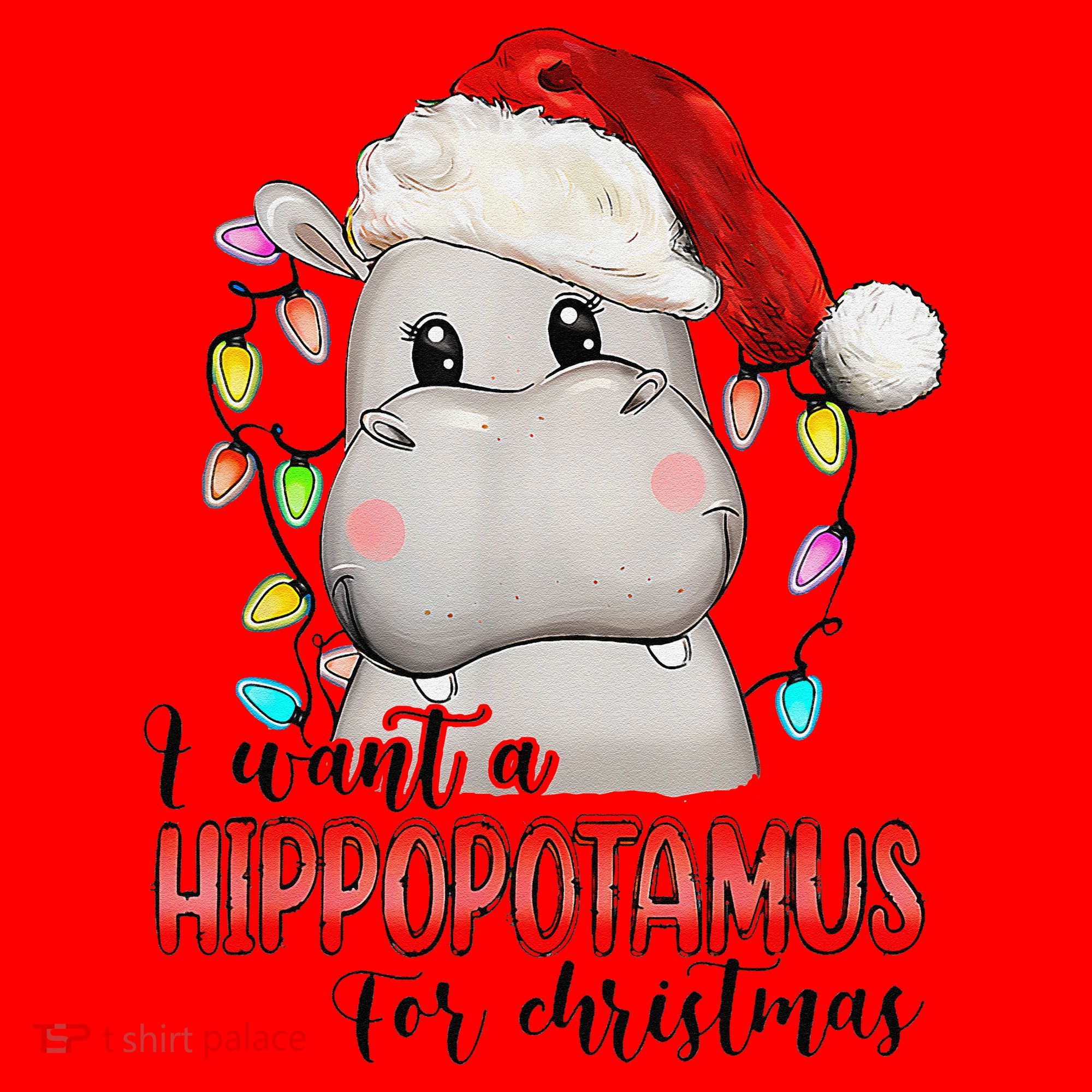 I Want A Hippopotamus For Christmas Xmas Santa Hat