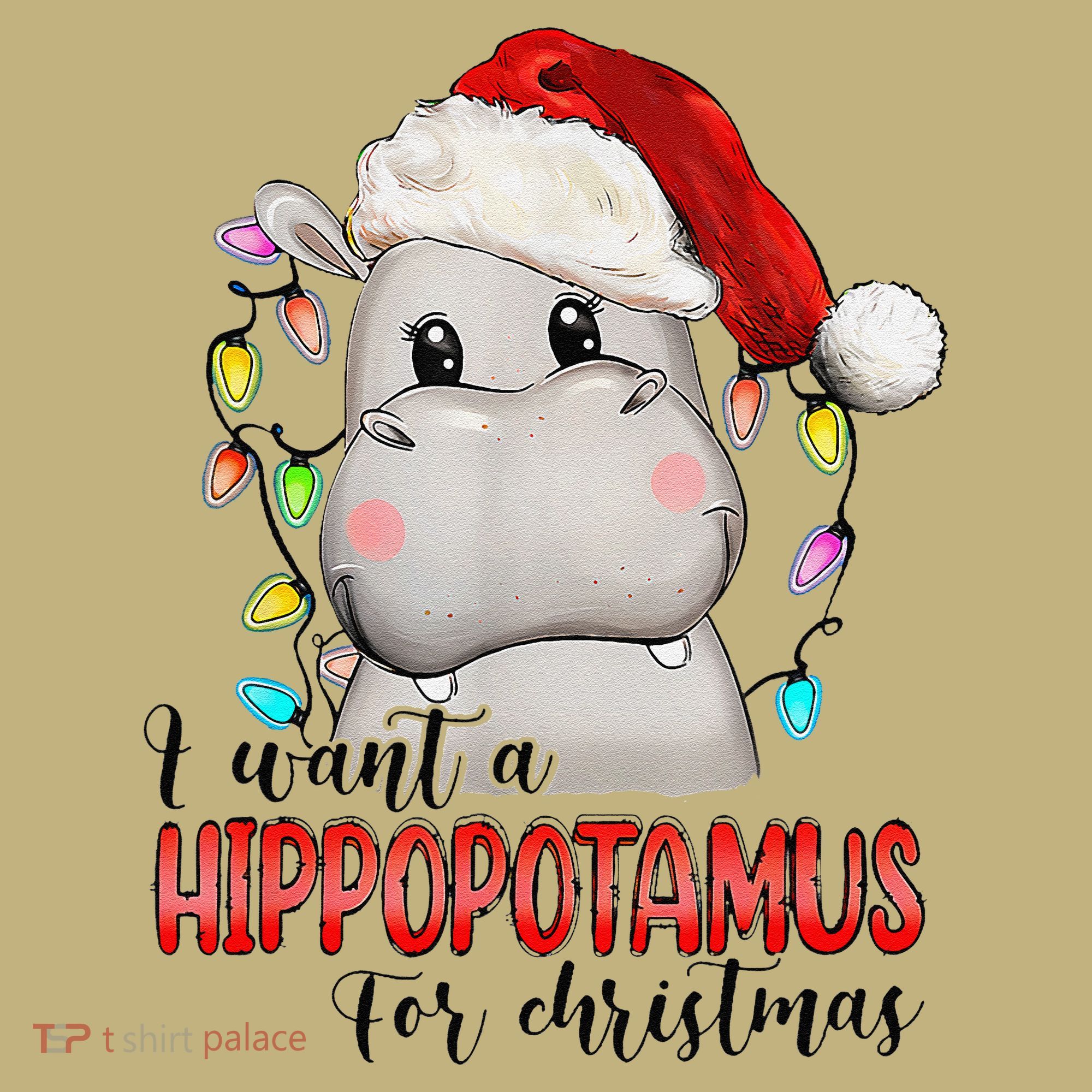 I Want A Hippopotamus For Christmas Xmas Hoodie