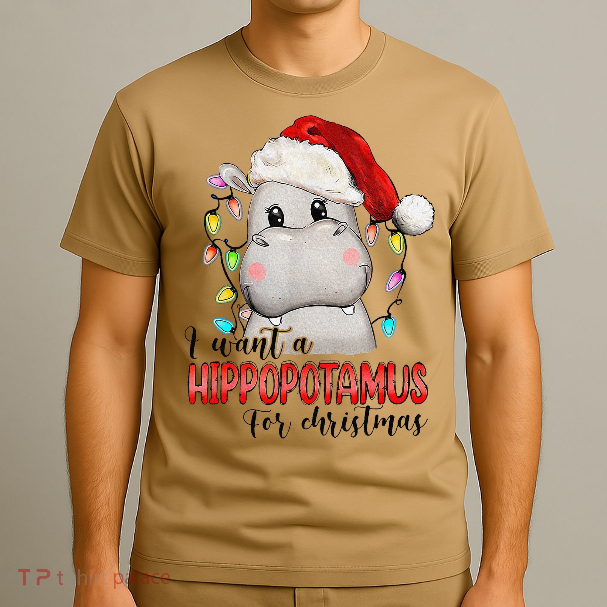 I Want A Hippopotamus For Christmas Xmas T-Shirt