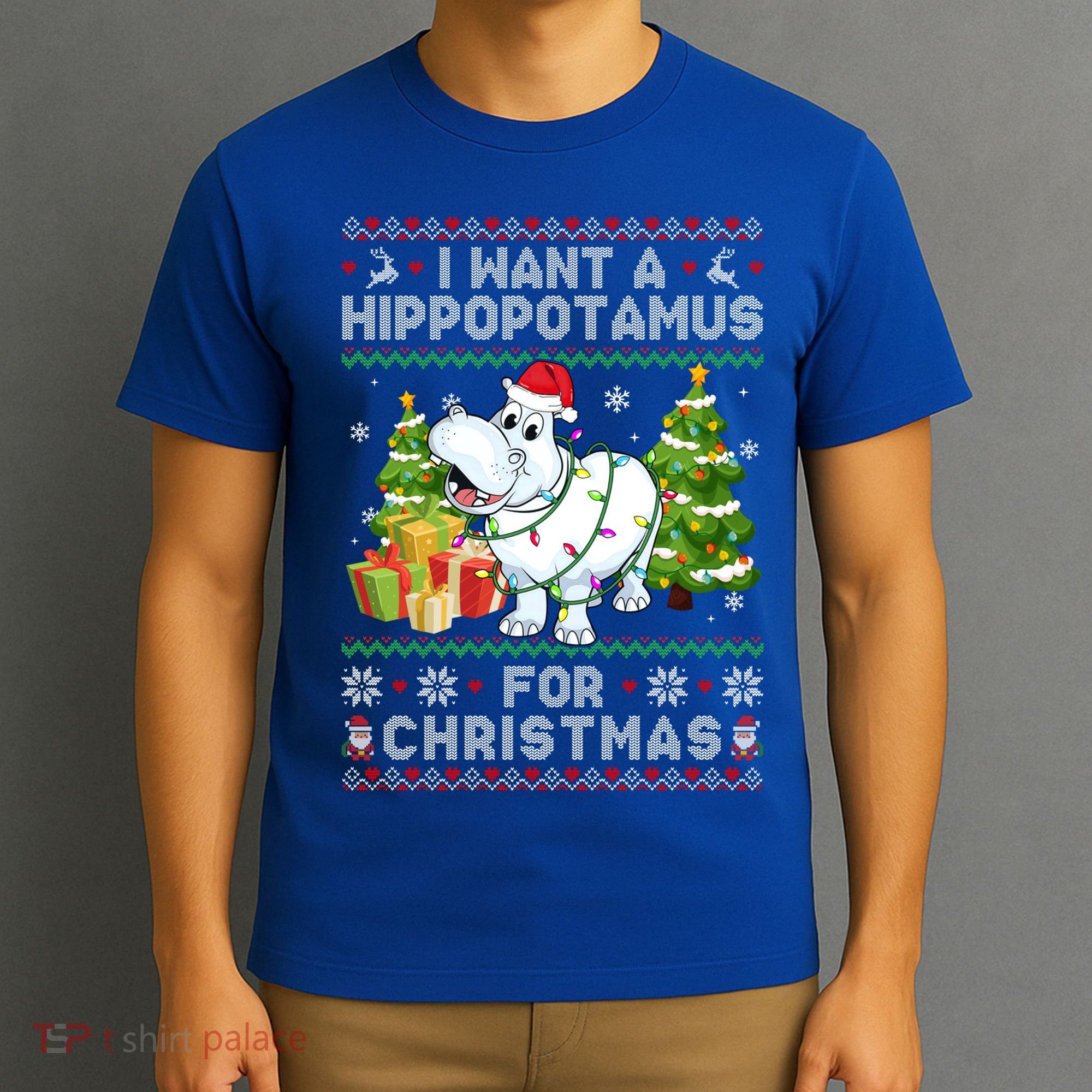 I Want A Hippopotamus For Christmas Hippo Santa Ugly Xmas Gift T-Shirt