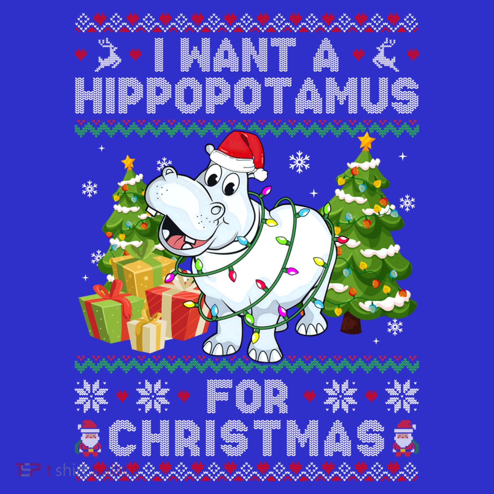 I Want A Hippopotamus For Christmas Hippo Santa Ugly Xmas Gift Women's Tank Top