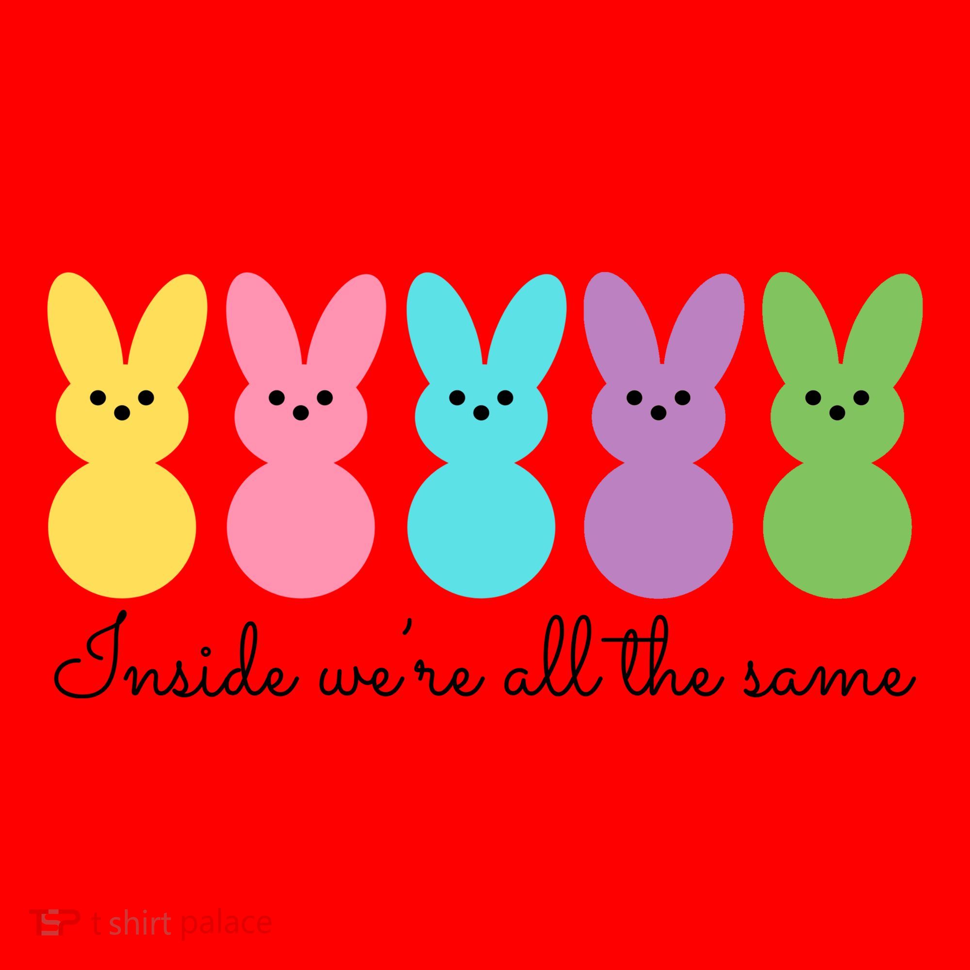 Inside We Are All The Same Easter Bunny Santa Hat