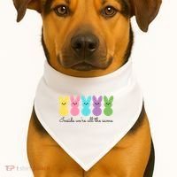 Inside We Are All The Same Easter Bunny USA-Made Doggie Bandana thumb 1