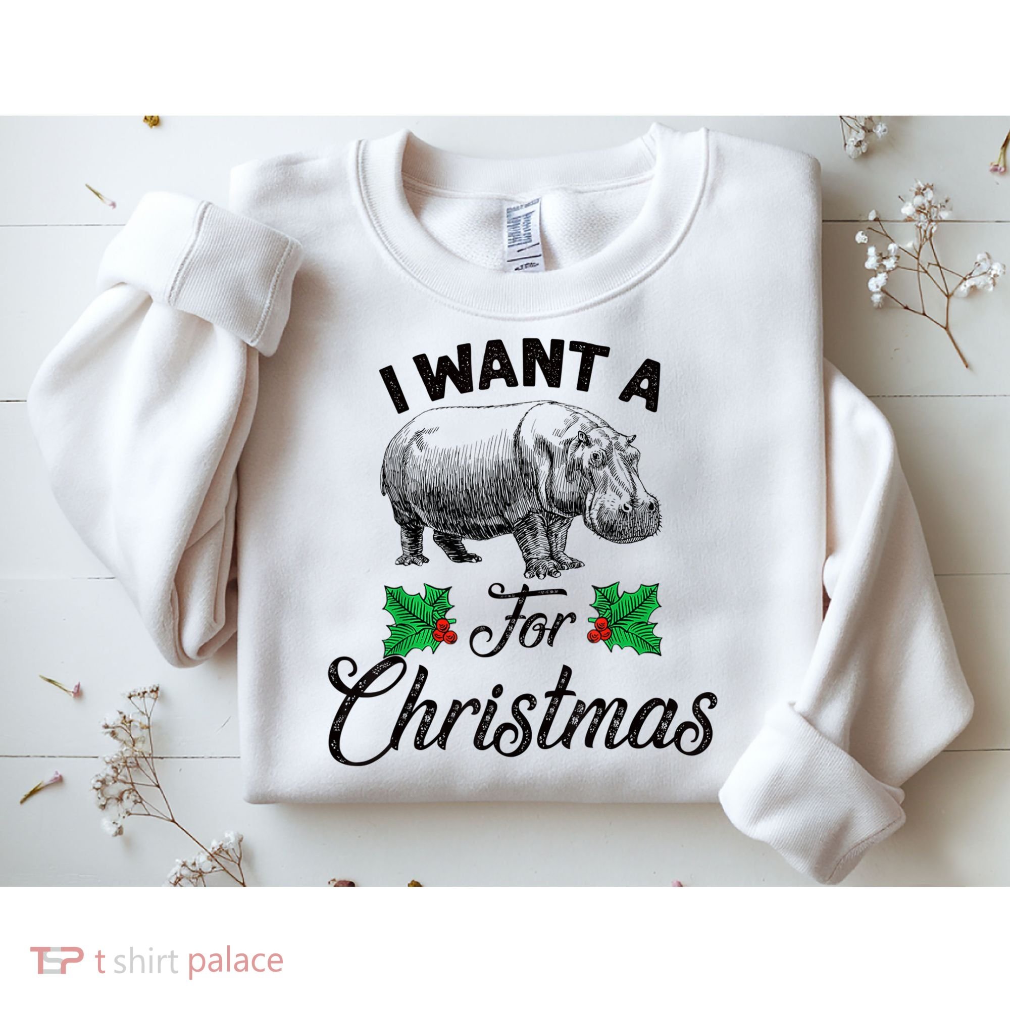 I Want A Hippopotamus For Christmas TShirt Sweatshirt