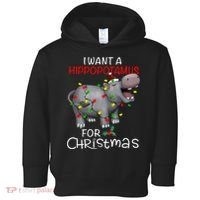 I Want A Hippopotamus For Christmas Xmas Hippo For Toddler Hoodie thumb 0