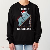 I Want A Hippotenuse For Christmas Math Teacher Xmas Hippo Gift Women's Sweatshirt thumb 0