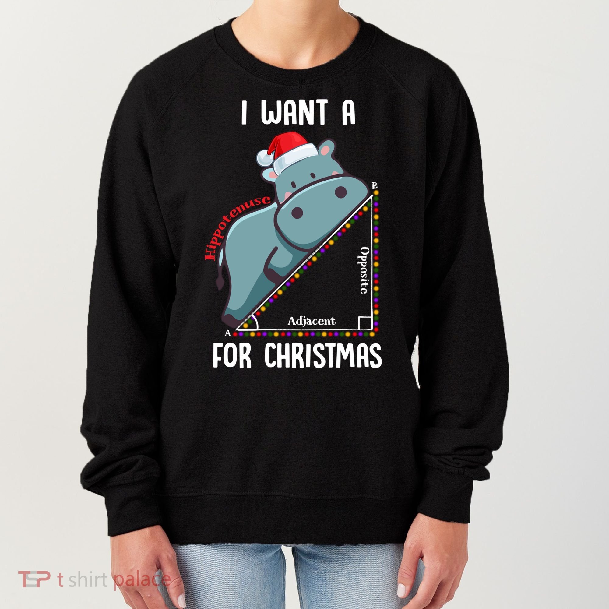 I Want A Hippotenuse For Christmas Math Teacher Xmas Hippo Gift Women's Sweatshirt