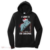 I Want A Hippotenuse For Christmas Math Teacher Xmas Hippo Gift Women's Hoodie thumb 0
