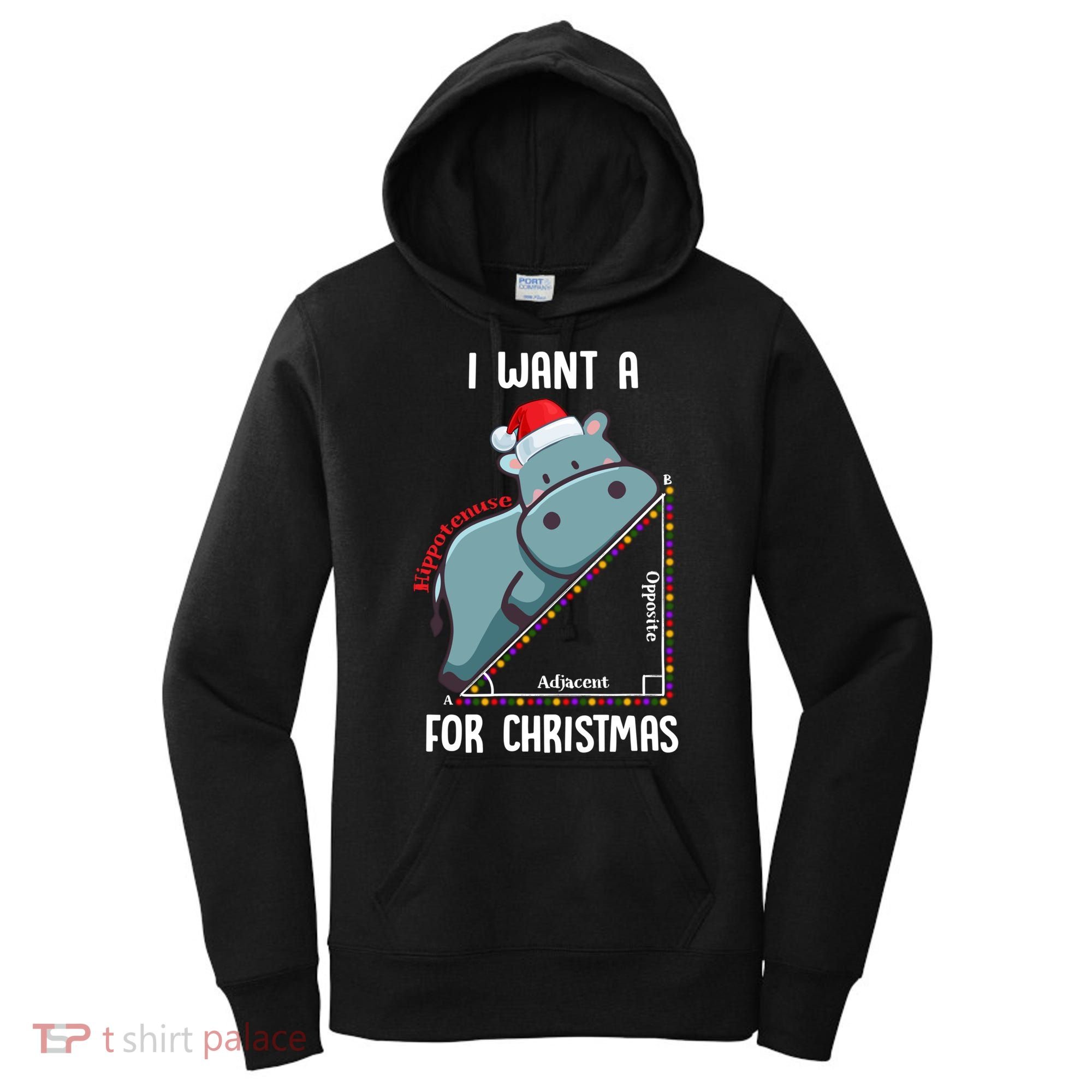 I Want A Hippotenuse For Christmas Math Teacher Xmas Hippo Gift Women's Hoodie