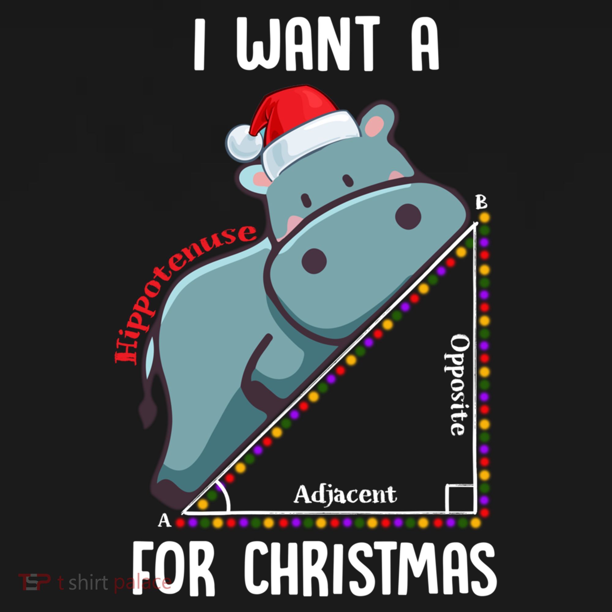 I Want A Hippotenuse For Christmas Math Teacher Xmas Hippo Gift Women's Hoodie