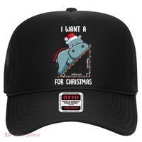 I Want A Hippotenuse For Christmas Math Teacher Xmas Hippo Gift Hat thumb 0