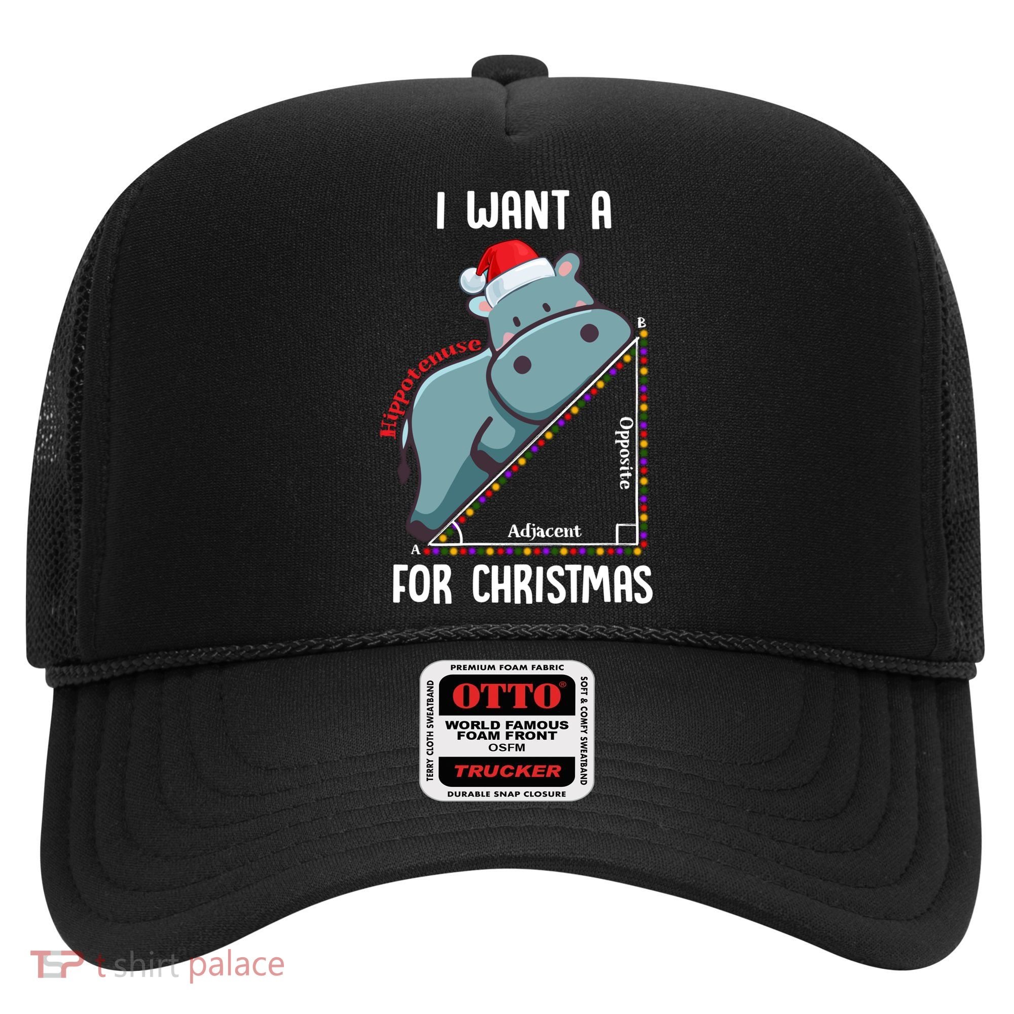I Want A Hippotenuse For Christmas Math Teacher Xmas Hippo Gift Hat