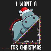 I Want A Hippotenuse For Christmas Math Teacher Xmas Hippo Gift Hat thumb 2