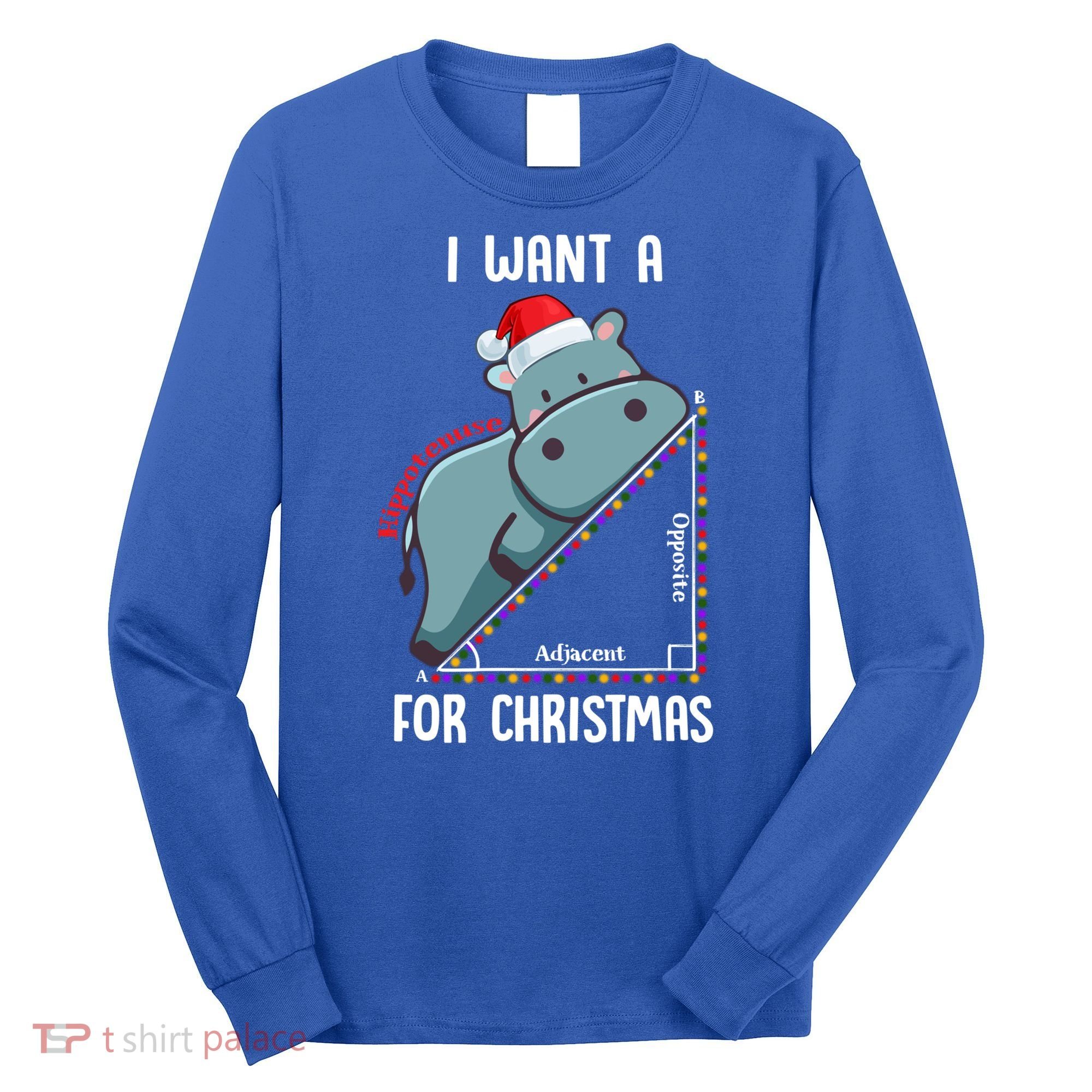 I Want A Hippotenuse For Christmas Math Teacher Xmas Hippo Gift Long Sleeve Shirt