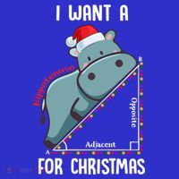 I Want A Hippotenuse For Christmas Math Teacher Xmas Hippo Gift Women's Tank Top thumb 5