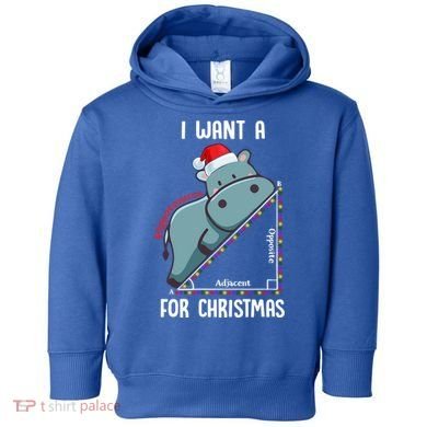 I Want A Hippotenuse For Christmas Math Teacher Xmas Hippo Gift Toddler Hoodie