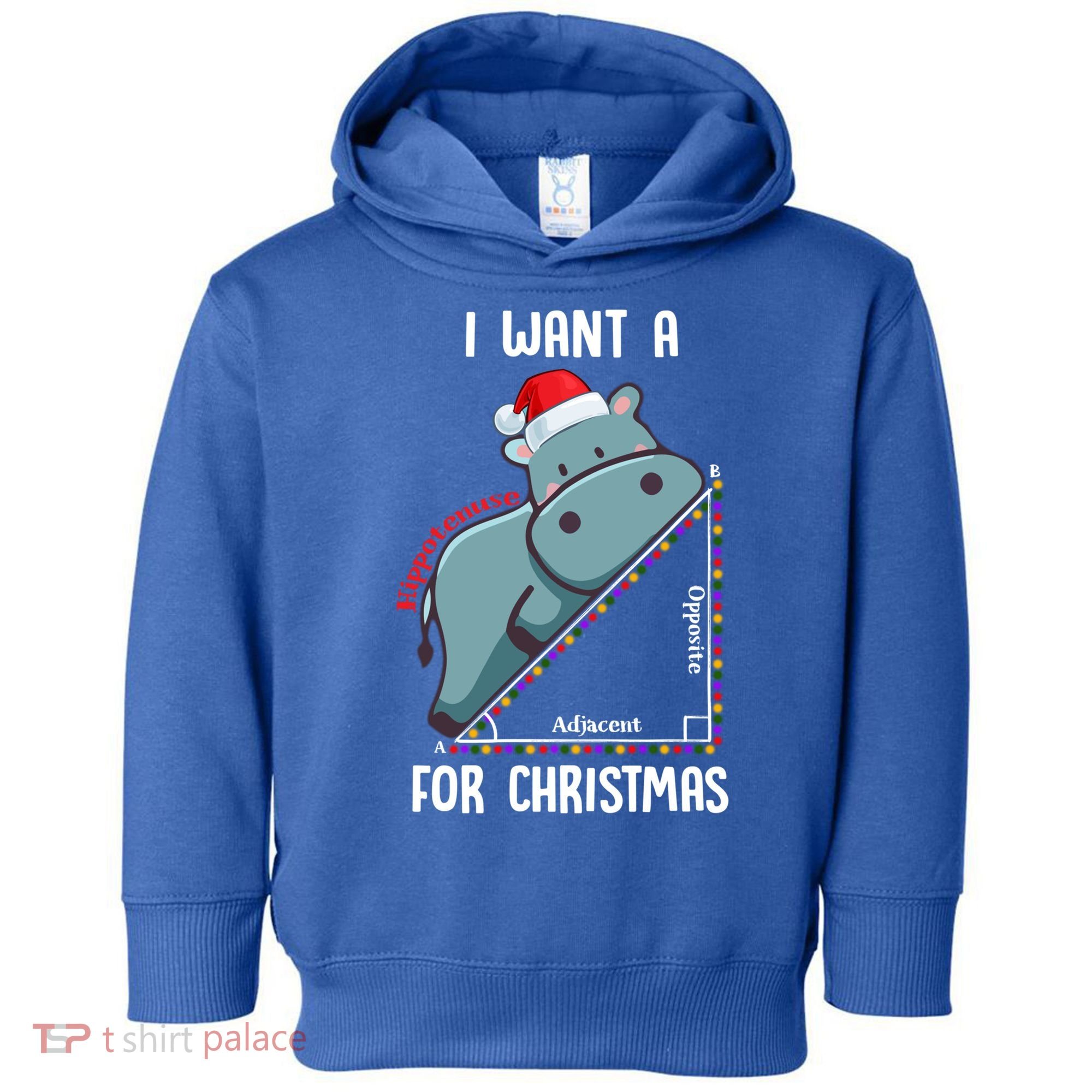 I Want A Hippotenuse For Christmas Math Teacher Xmas Hippo Gift Toddler Hoodie