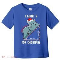 I Want A Hippotenuse For Christmas Math Teacher Xmas Hippo Gift Toddler T-Shirt thumb 0