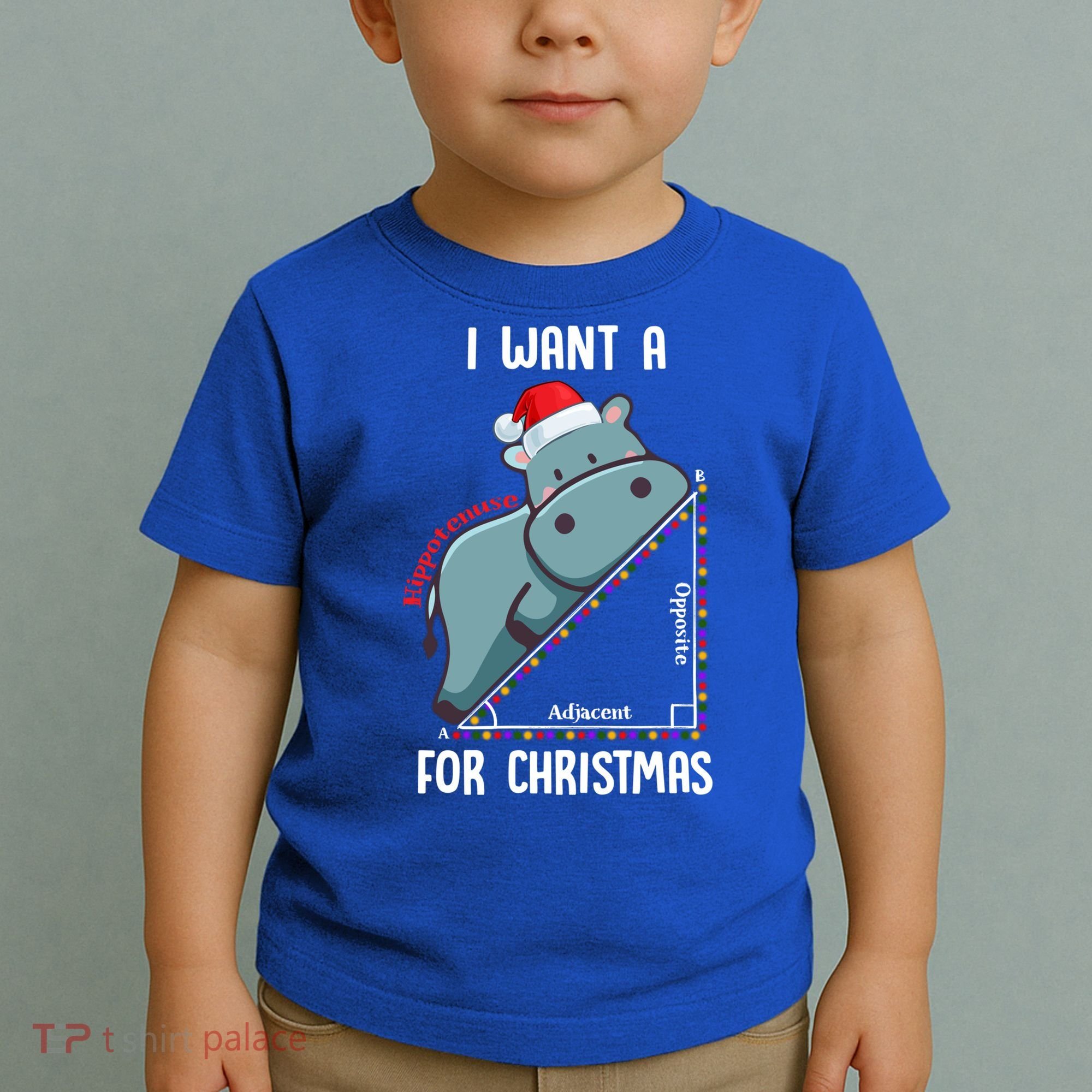 I Want A Hippotenuse For Christmas Math Teacher Xmas Hippo Gift Toddler T-Shirt