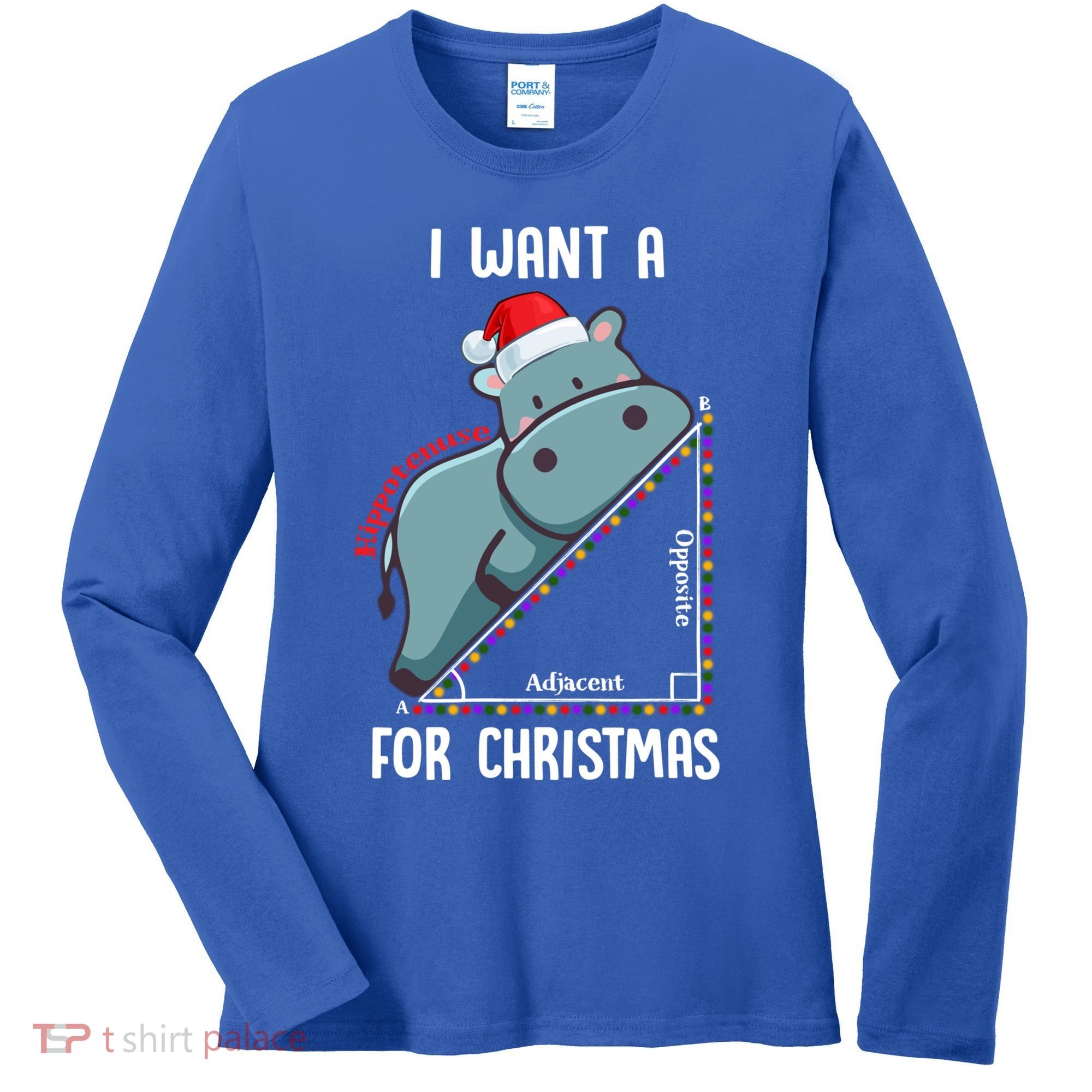 I Want A Hippotenuse For Christmas Math Teacher Xmas Hippo Gift Women's Long Sleeve Shirt