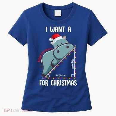 I Want A Hippotenuse For Christmas Math Teacher Xmas Hippo Gift Women's T-Shirt