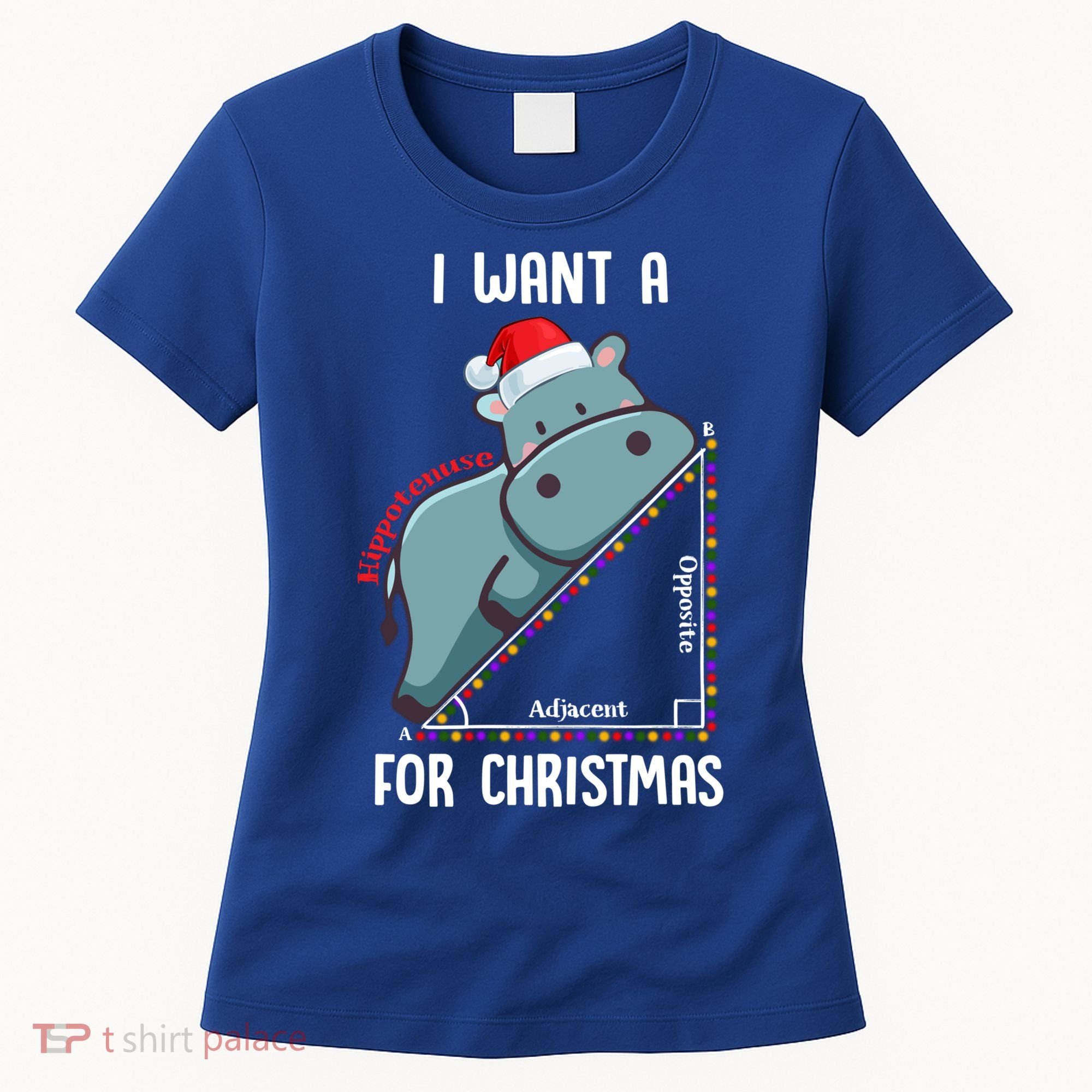 I Want A Hippotenuse For Christmas Math Teacher Xmas Hippo Gift Women's T-Shirt