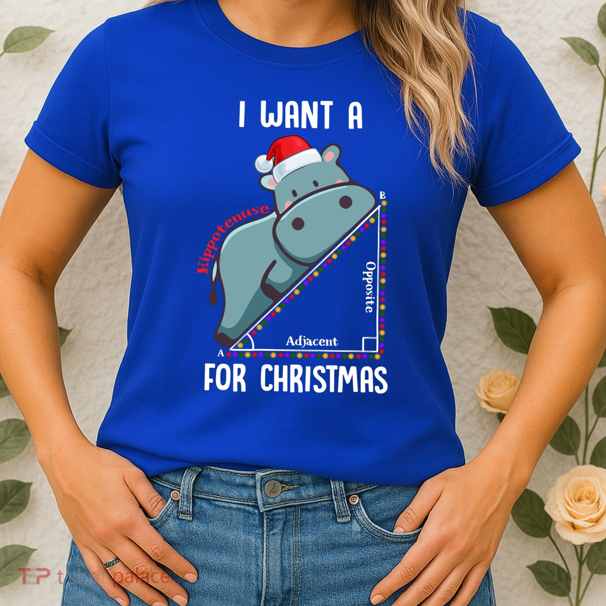 I Want A Hippotenuse For Christmas Math Teacher Xmas Hippo Gift Women's T-Shirt