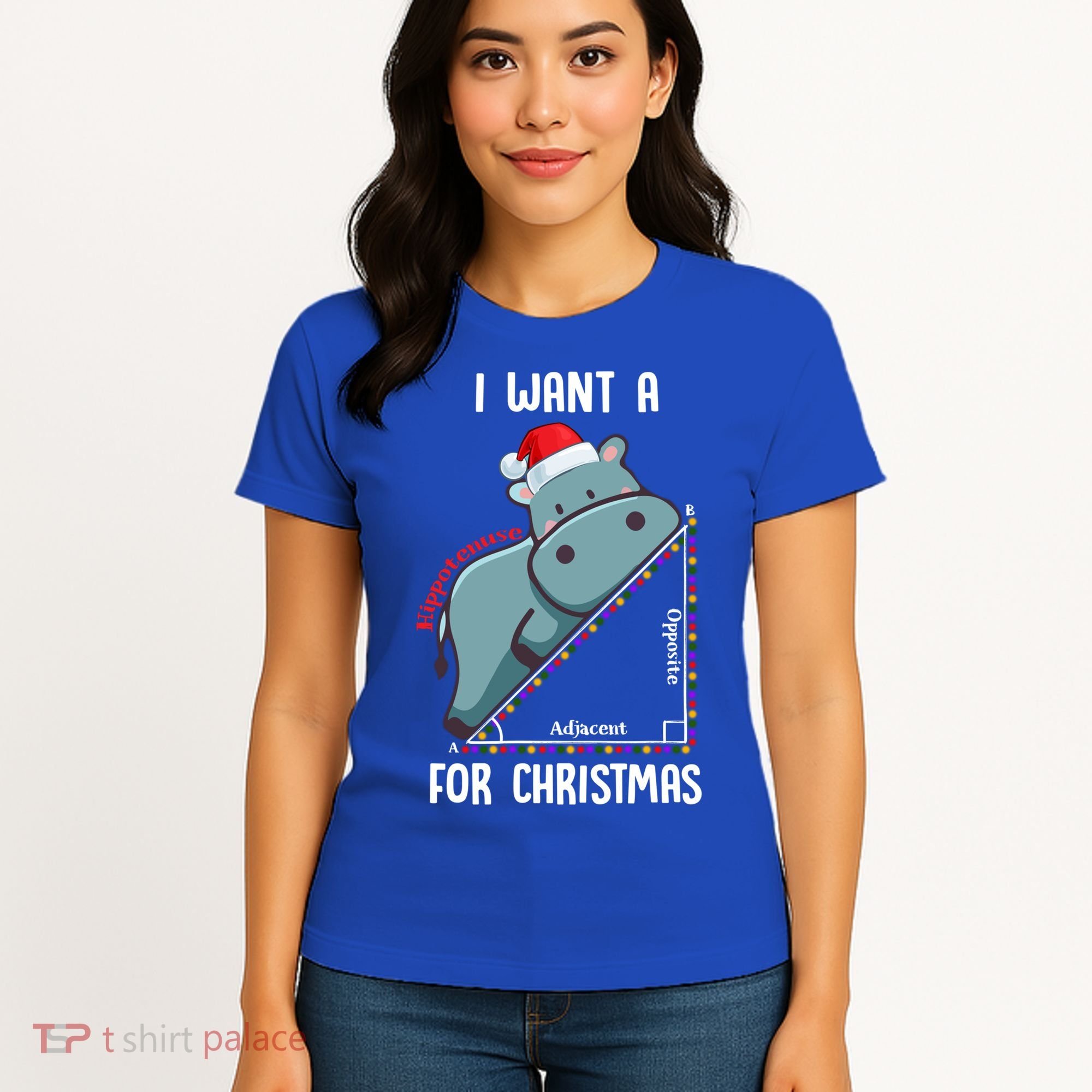 I Want A Hippotenuse For Christmas Math Teacher Xmas Hippo Gift Women's T-Shirt