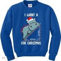 I Want A Hippotenuse For Christmas Math Teacher Xmas Hippo Gift Kids Sweatshirt thumb 0