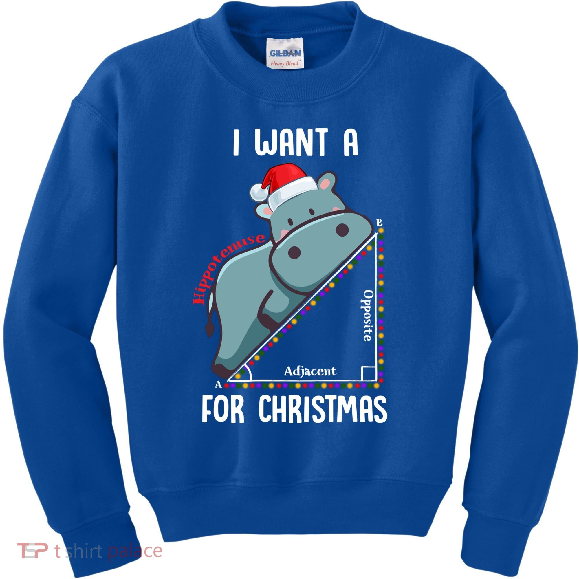 I Want A Hippotenuse For Christmas Math Teacher Xmas Hippo Gift Kids Sweatshirt