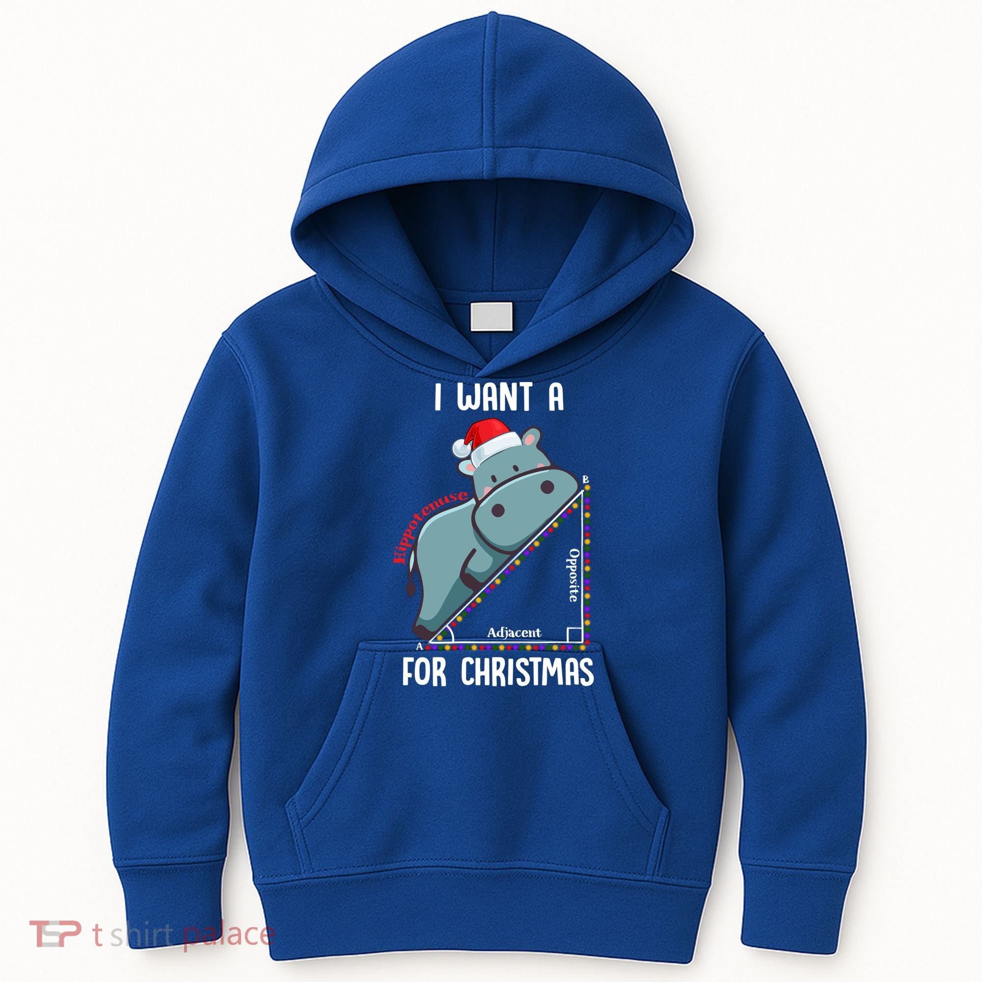 I Want A Hippotenuse For Christmas Math Teacher Xmas Hippo Gift Kids Hoodie