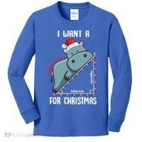 I Want A Hippotenuse For Christmas Math Teacher Xmas Hippo Gift Kids Long Sleeve Shirt thumb 0
