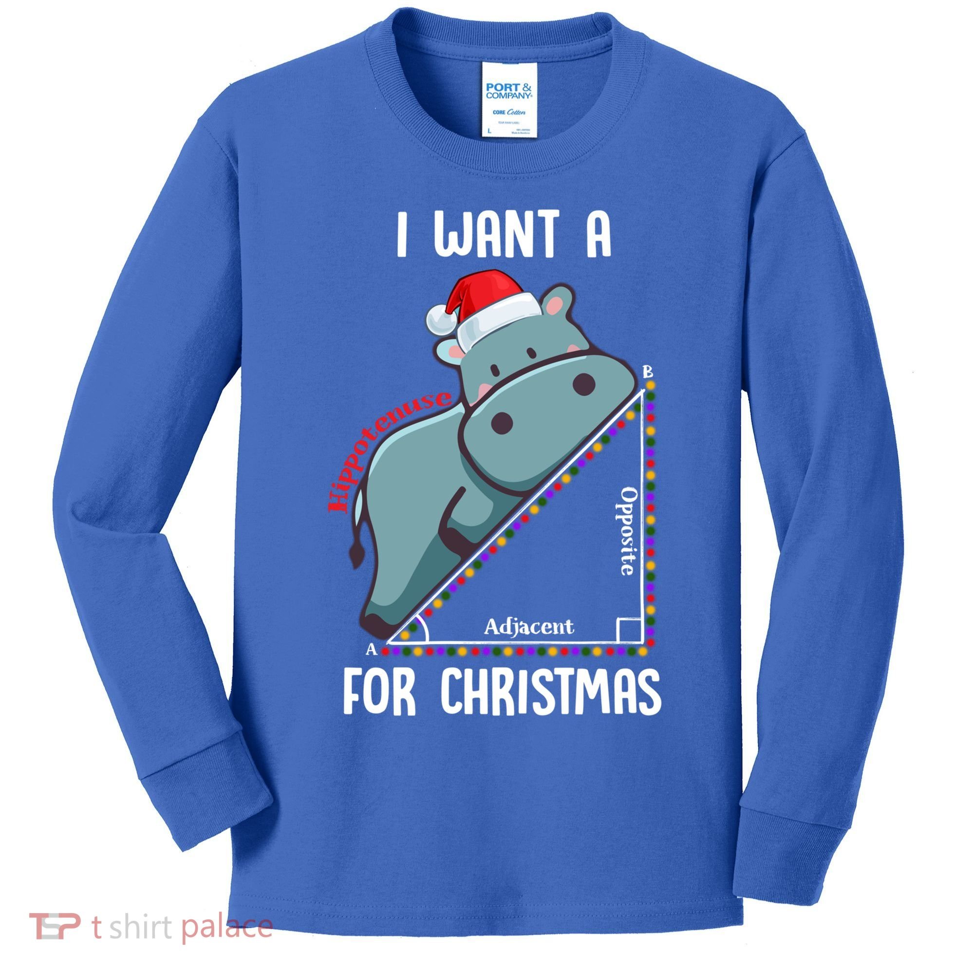 I Want A Hippotenuse For Christmas Math Teacher Xmas Hippo Gift Kids Long Sleeve Shirt
