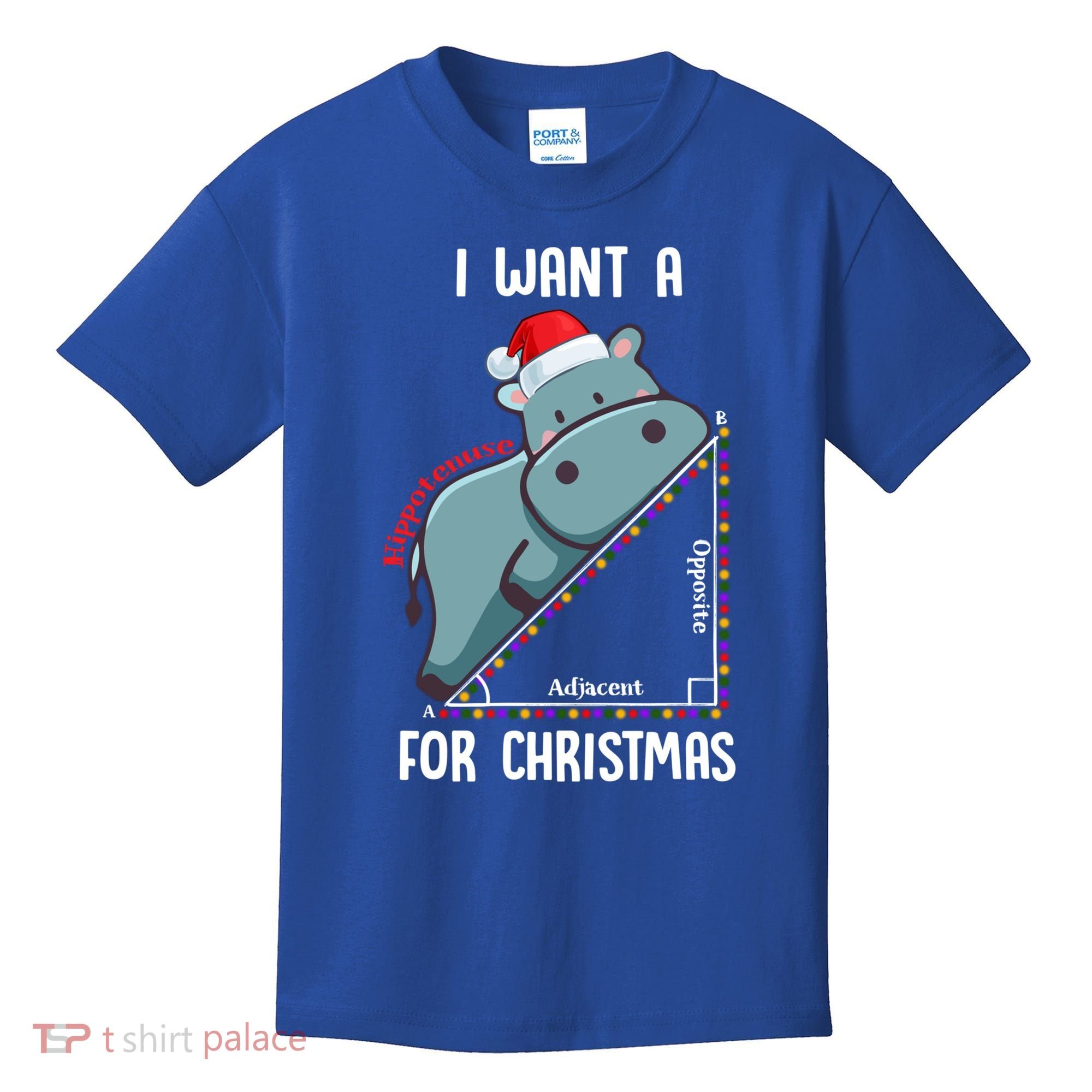 I Want A Hippotenuse For Christmas Math Teacher Xmas Hippo Gift Kids T-Shirt