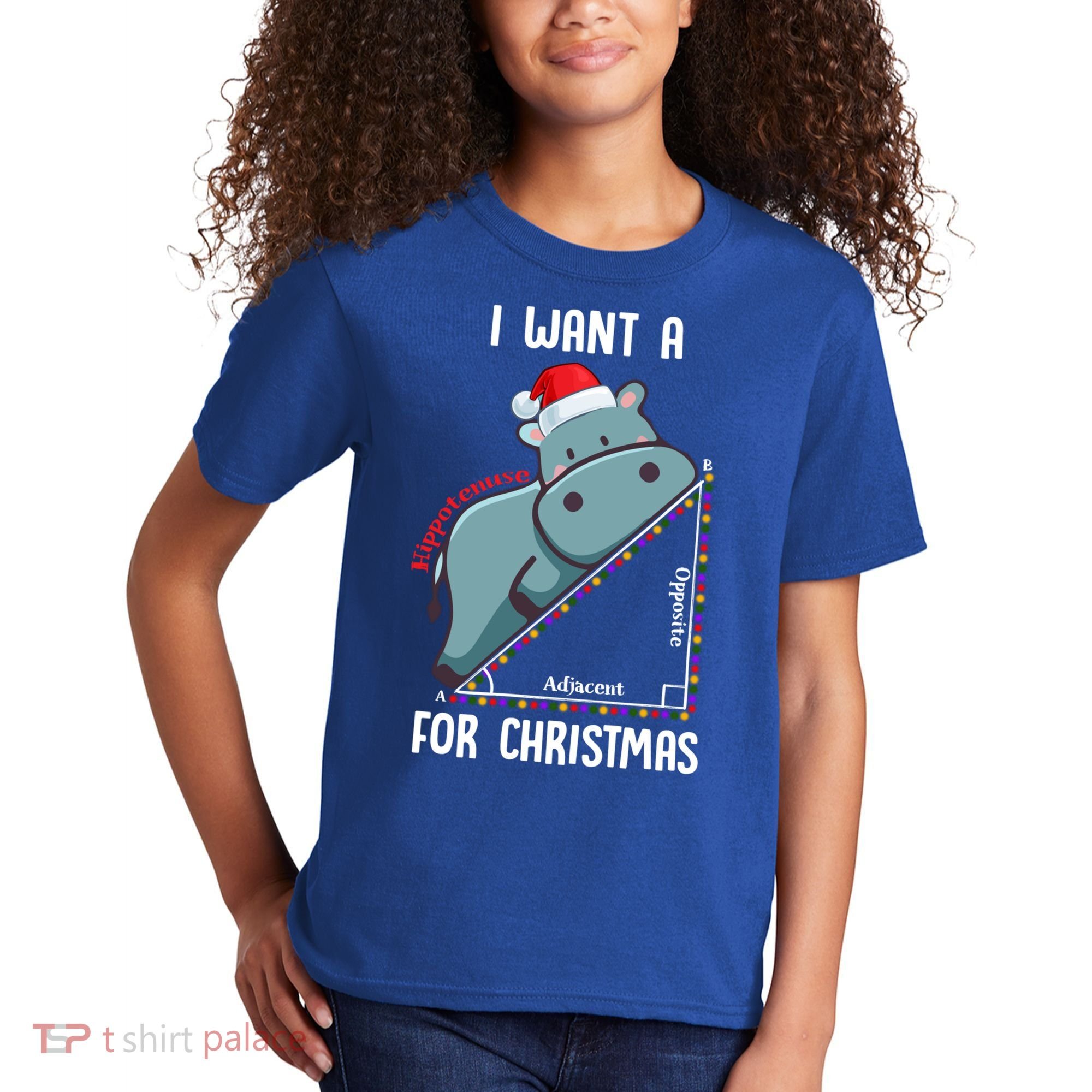 I Want A Hippotenuse For Christmas Math Teacher Xmas Hippo Gift Kids T-Shirt
