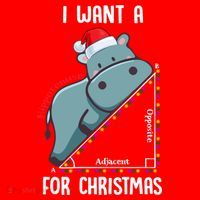 I Want A Hippotenuse For Christmas Math Teacher Xmas Hippo Gift Santa Hat thumb 1