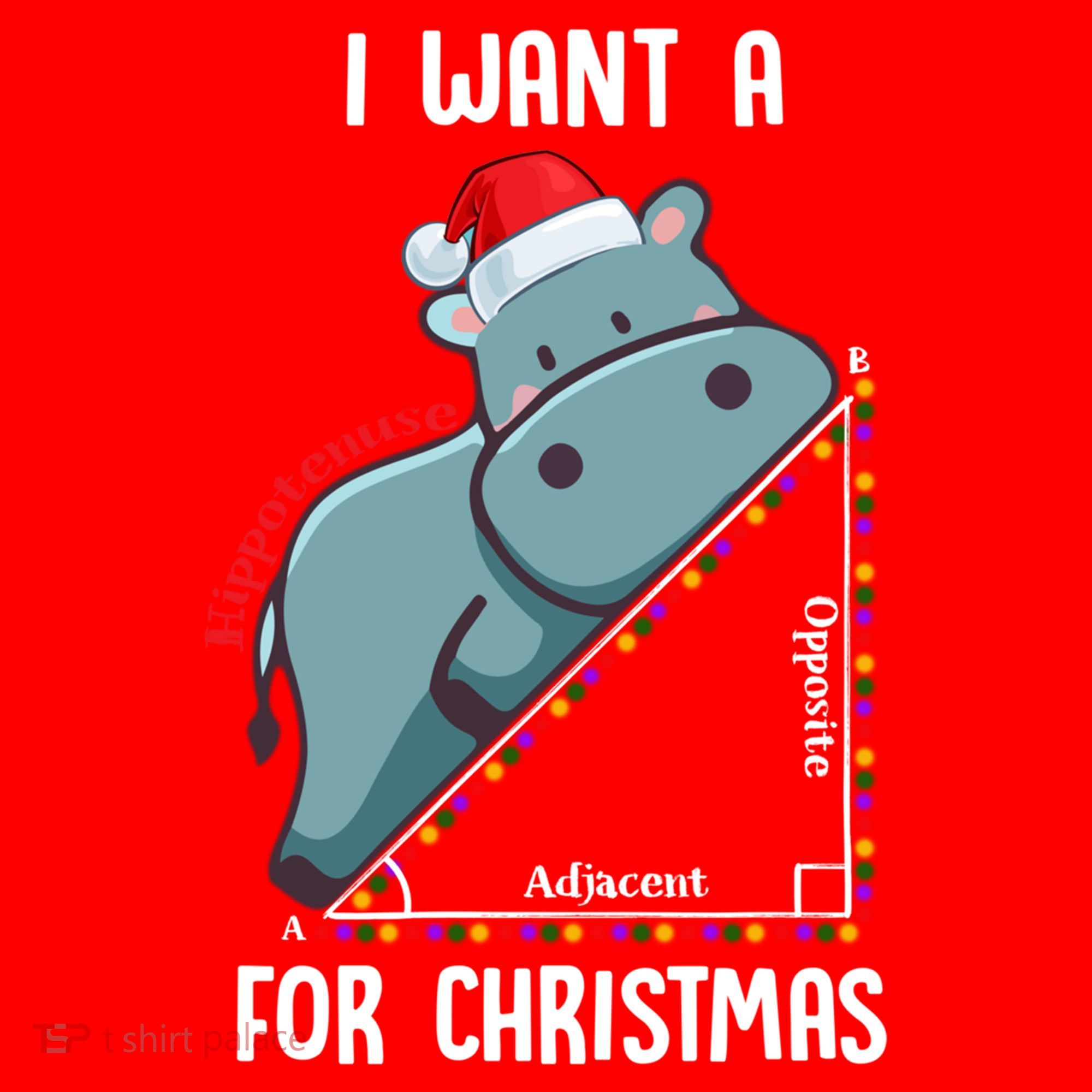 I Want A Hippotenuse For Christmas Math Teacher Xmas Hippo Gift Santa Hat