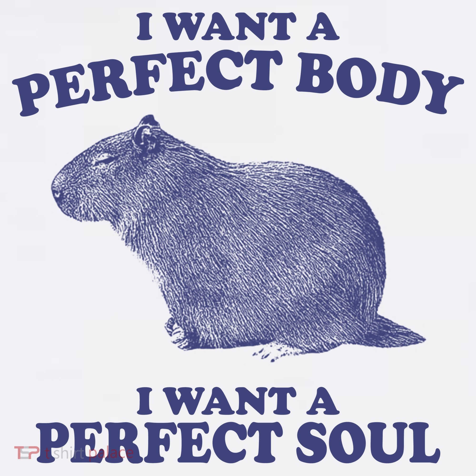 I Want A Perfect Body I Want A Perfect Soul Capybara Women's Hoodie