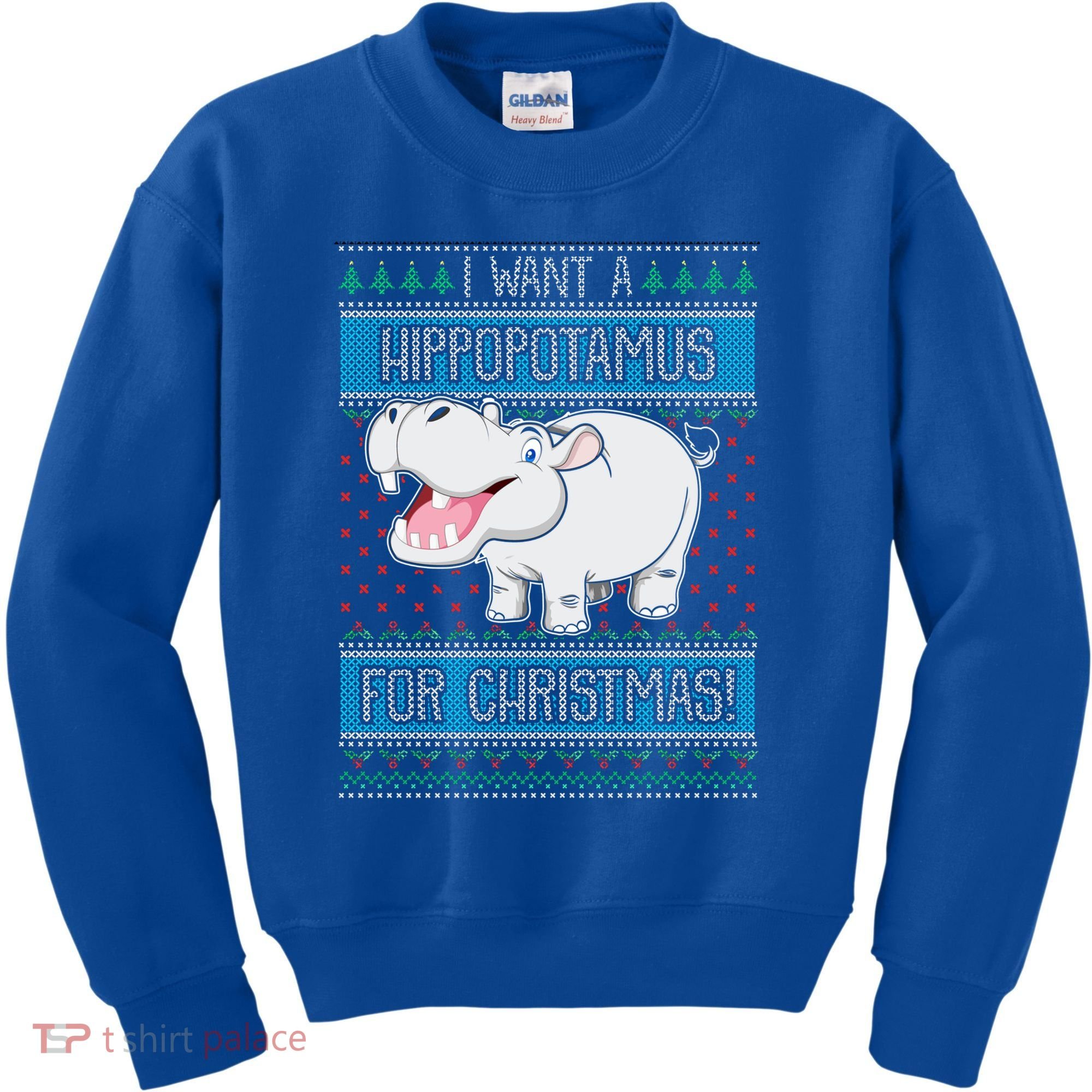 I Want A Hippopotamus For Christmas Great Gift Hippo Lover Gift Kids Sweatshirt
