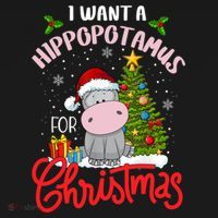 I Want A Hippopotamus For Christmas Funny Hippo Xmas Pajamas Gift Women's Hoodie thumb 2