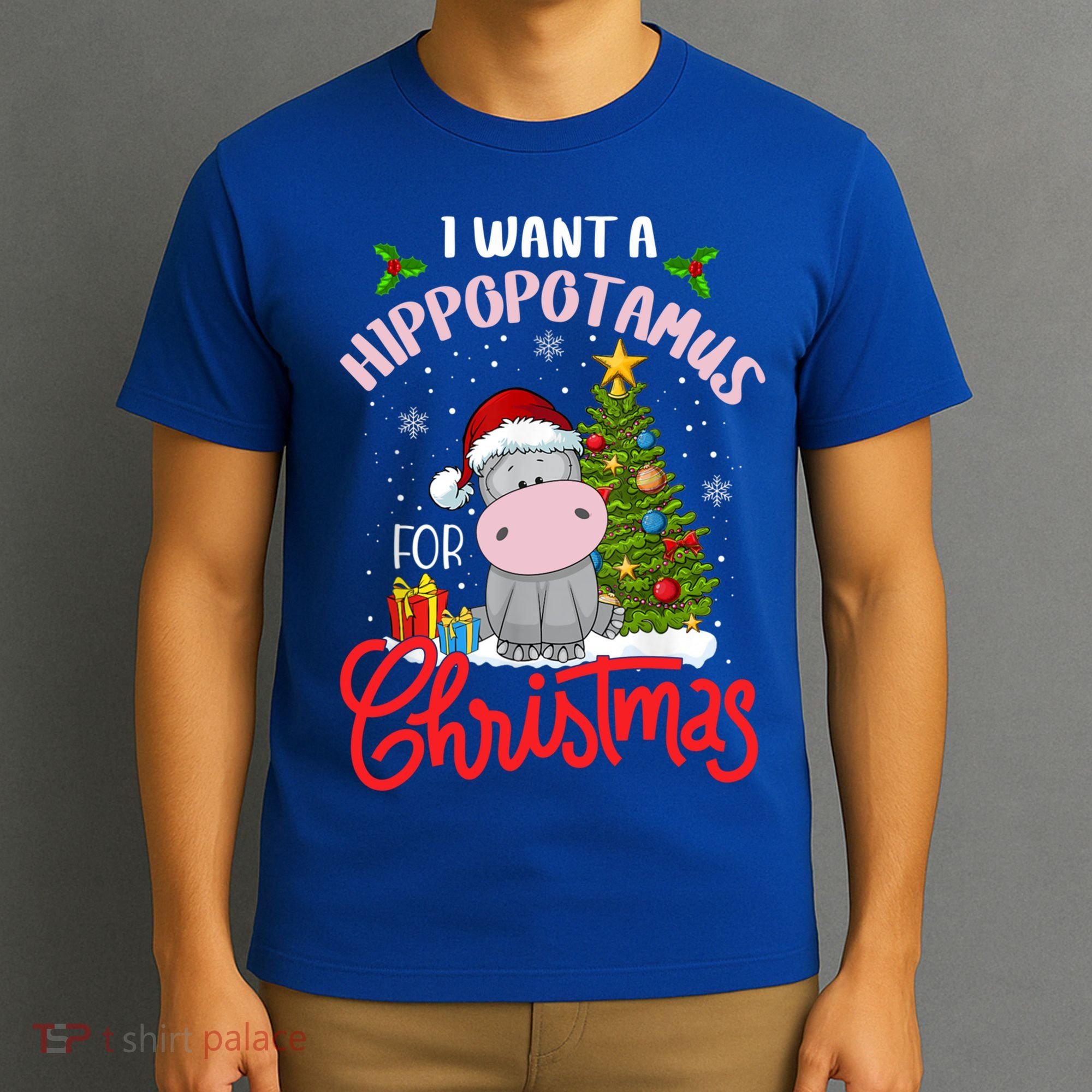 I Want A Hippopotamus For Christmas Funny Hippo Xmas Pajamas Gift T-Shirt