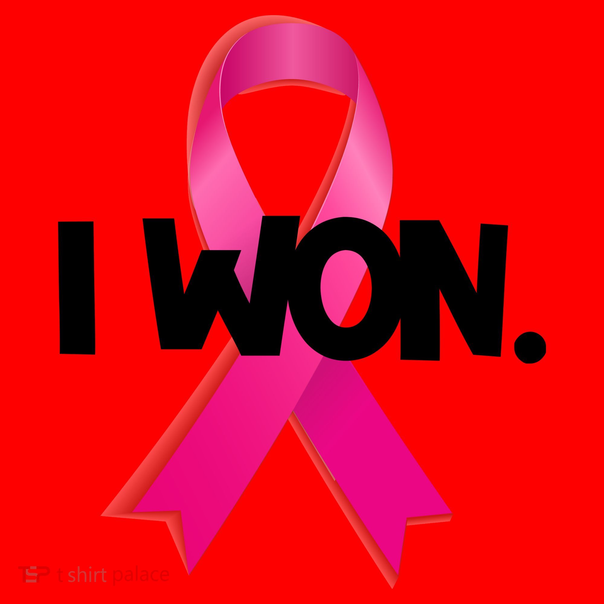 I Won Breast Cancer Awareness Survivor Santa Hat