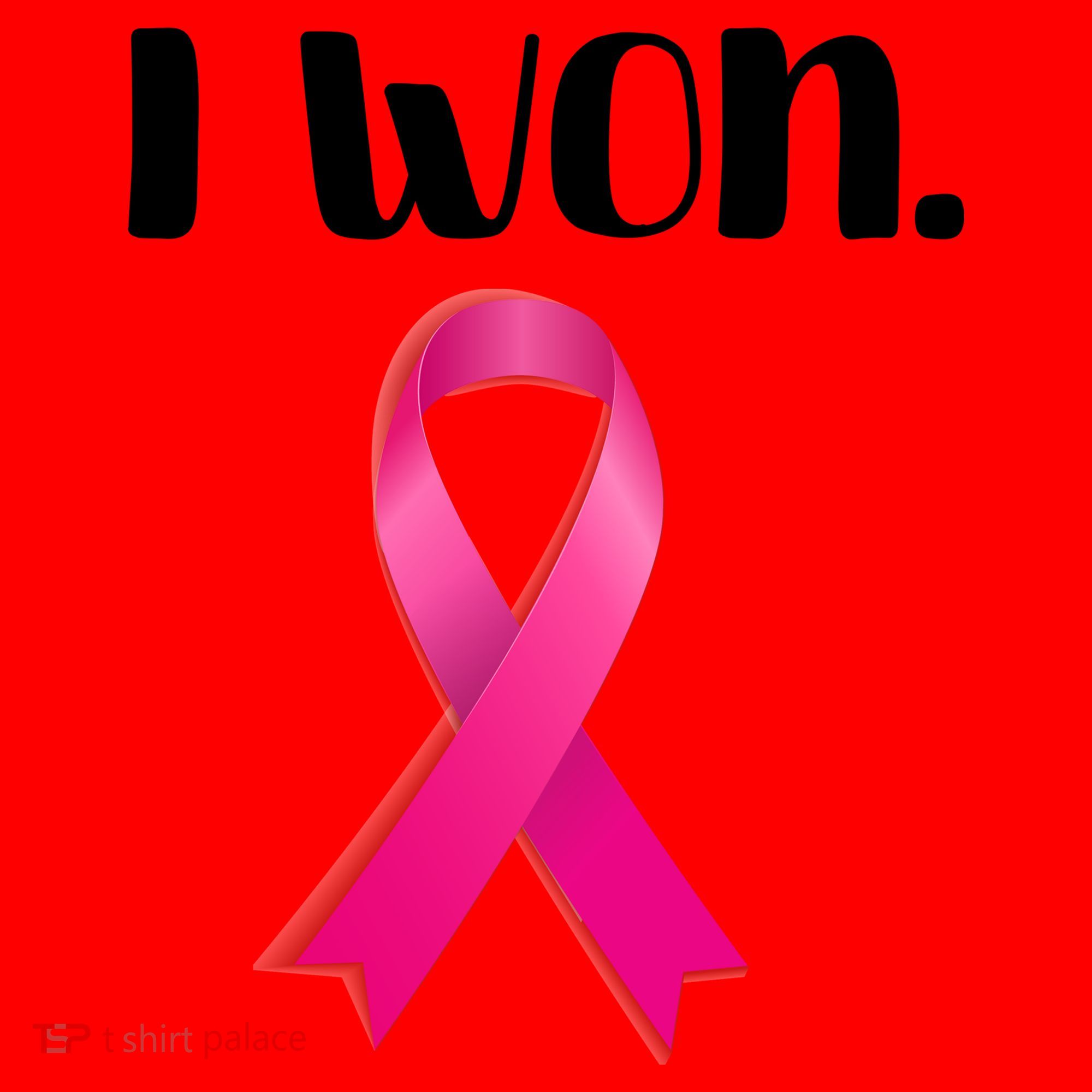 I Won Breast Cancer Awareness Strong Santa Hat