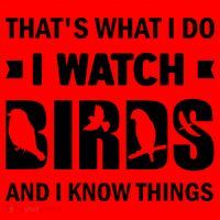 I Watch Birds And I Know Things Pet Bird Santa Hat thumb 1